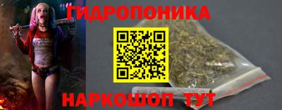 круглые Кингисепп